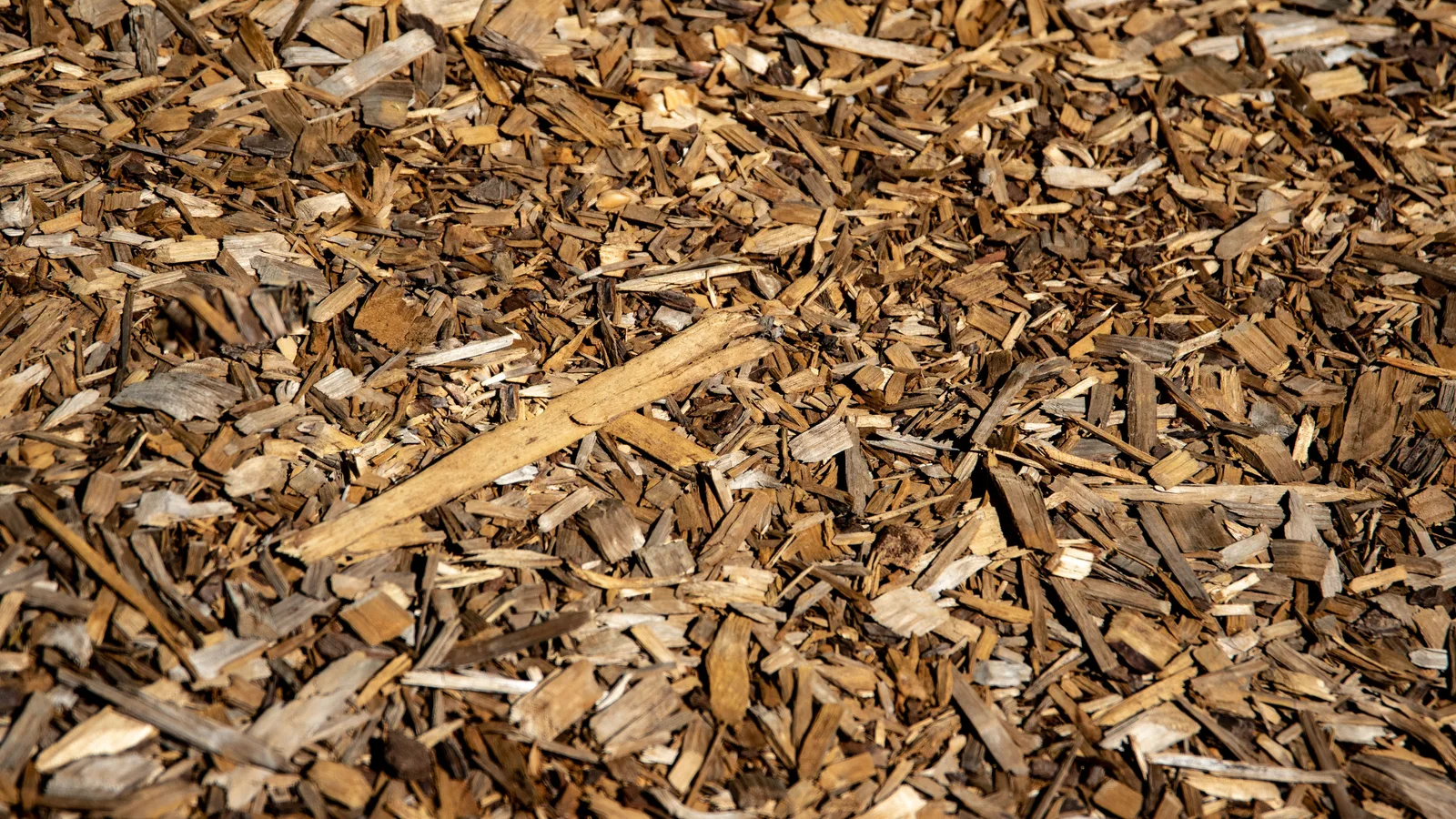 Close-up of natural bark and wood mulch used to compare cedar mulch and pine bark